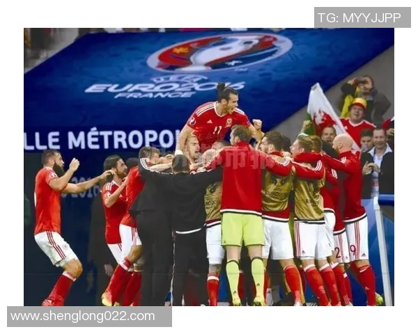 欧洲杯精彩对决威尔士与斯洛伐克视频回顾及精彩瞬间分析