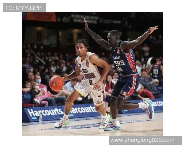 伊拉瓦拉老鹰迎战新西兰破坏者期待精彩对决与激烈竞争